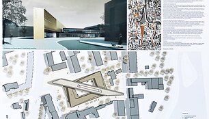 16 pasiūlymas S.Eidrigevičiaus menų centro konkursui