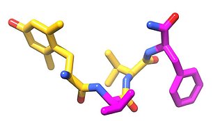 Neįprasta bilorfino struktūra: geltonai pažymėtos dešininės amino rūgštys, violetine - kairinės