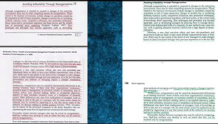 Monografijos &bdquo;Tarptautinio verslo vadybos principų taikymo ypatybės Vidurio ir Rytų Europos &scaron;alyse&ldquo; ir užsienio autorių darbų sutaptys
