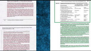Monografijos &bdquo;Tarptautinio verslo vadybos principų taikymo ypatybės Vidurio ir Rytų Europos &scaron;alyse&ldquo; ir užsienio autorių darbų sutaptys