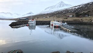 St&ouml;&eth;varfj&ouml;r&eth;ur žvejų kaimelis