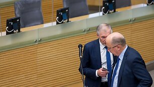Gediminas Kirkilas ir Andrius Kubilius