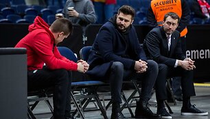 Linas Kleiza 