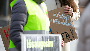 Pasaulinio jaunimo streikas dėl klimato kaitos