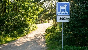 Takas link Nemirsetos &scaron;unų paplūdimio