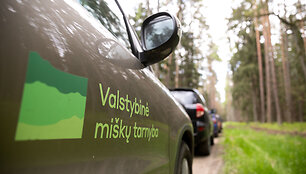 Ekskursija Punios &scaron;ile