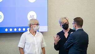 Jurgita &Scaron;iugždinienė, Ingrida &Scaron;imonytė, Arūnas Dulkys