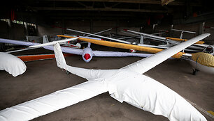 Parasparnis