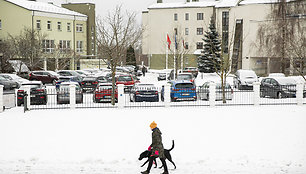 Šaligatviai žiemos metu Vilniuje