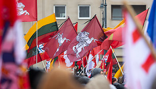 Protestas prie Seimo Sausio 13-ąją