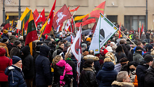 Protestas prie Seimo Sausio 13-ąją