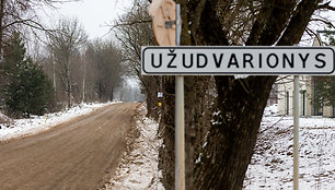 Liepų gatvė, Užudvarionys