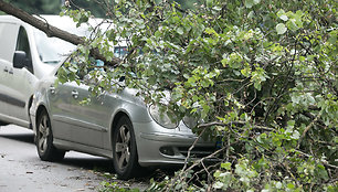 Geležinio vilko gatvėje ant automobilio užvirto medis