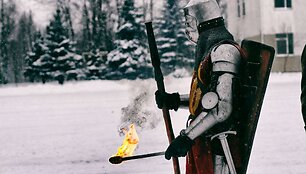 Lietuvos valstybei prisiekė beveik 500 &scaron;auktinių