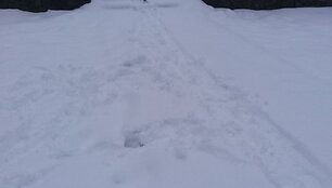 Nuo sniego nei&scaron;valyti kiemai ir laiptai Lazdynuose