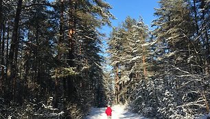 „TrenkTuro“ rengiamas „Žiemos žygis'19“