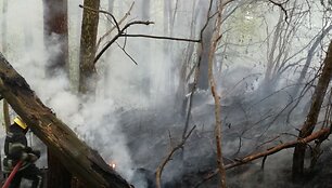 Mi&scaron;kininkas Raimundas Ereminas užfiksavo mi&scaron;ko gaisrą 