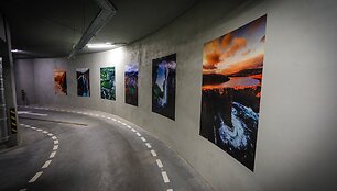 Deivido Matkevičiaus fotografijos darbų paroda