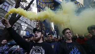 Eitynės &bdquo;Sugrąžinkime Ukrainą ukrainiečiams&ldquo;