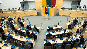 Seimas svarsto dėl Gintauto Palucko kandidatūros 