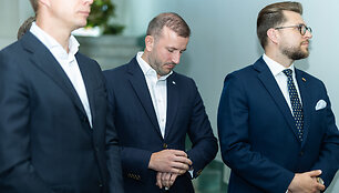 Virginijus Sinkevičius, Lukas Savickas