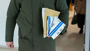 Krata Sauliaus Skvernelio kabinete Seime