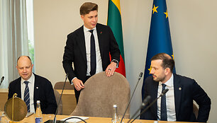 Socialdemokratų partijos, Lietuvos valstiečių ir žaliųjų sąjungos bei Demokratų sąjungos &bdquo;Vardan Lietuvos&ldquo; atstovų derybos 