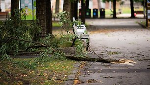 Audros padariniai Sapiegų parke ir Antakalnio kapinėse