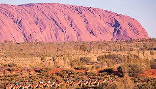 Pramogos prie Uluru uolos įdienojus, &Scaron;iaurės Australija
