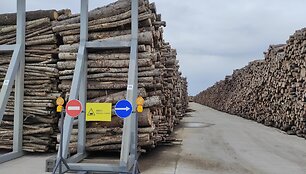  Medienos drožlių plok&scaron;čių gamyklos atidarymas Akmenės laisvojoje ekonominėje zonoje