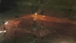 6137250020312video_613724fa69b23