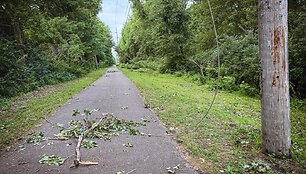Nutrūkę elektros laidai