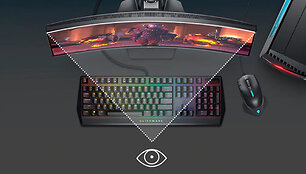 Dell 27 Curved Gaming (S2721HGF) monitorius