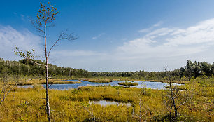 Varnikų pažintinis takas