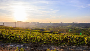 Emilia Romagna, Italija 