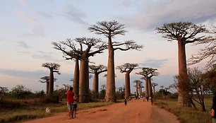 Kelionės po Madagaskarą akimirkos