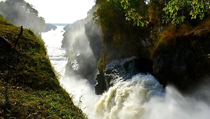 Kelionės po Ugandą - Ruandą akimirkos