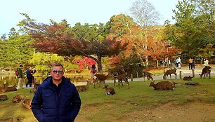 Kelionių po Japoniją akimirkos