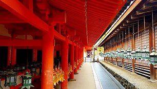 Kelionių po Japoniją akimirkos