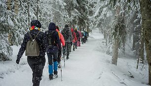 Kelionė į Suomijos Repovesi nacionalinį parką ir trijų dienų pėsčiųjų žygis