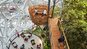 NBBJ nuotr./&bdquo;Amazon&rdquo; biuras &bdquo;Spheres&rdquo; Sietle 