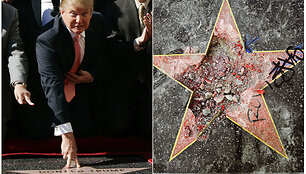 APTOPIX_Trump_Star_Vandalized_12191.jpg-5f68c