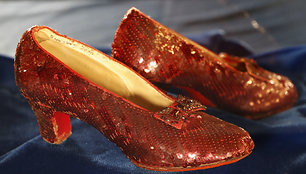 Stolen_Ruby_Slippers_37726.jpg-d0771