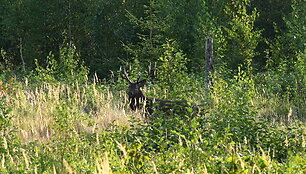 5d832ac90328bvideo_5d832ab304576