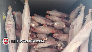 5ddcc9c51287cvideo_5ddcc9649c705