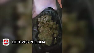 nepilnameciu-verslas-su-narkotikais-suciuptas-jaunuolis-ses-i-teisiamuju-suola