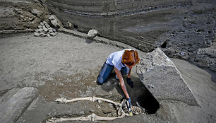 Italy_Pompeii_Skeleton_17160.jpg-7e541