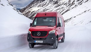 „Mercedes-Benz Sprinter 4 x 4 Panel“