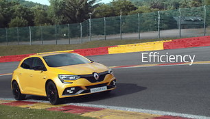 metu-sportiskiausias-automobilis-renault-megane-rs