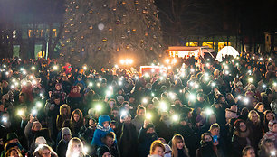 Druskininkų Kalėdų eglės įžiebimas